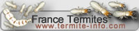 France Termite